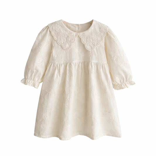 Vintage Lace Dress